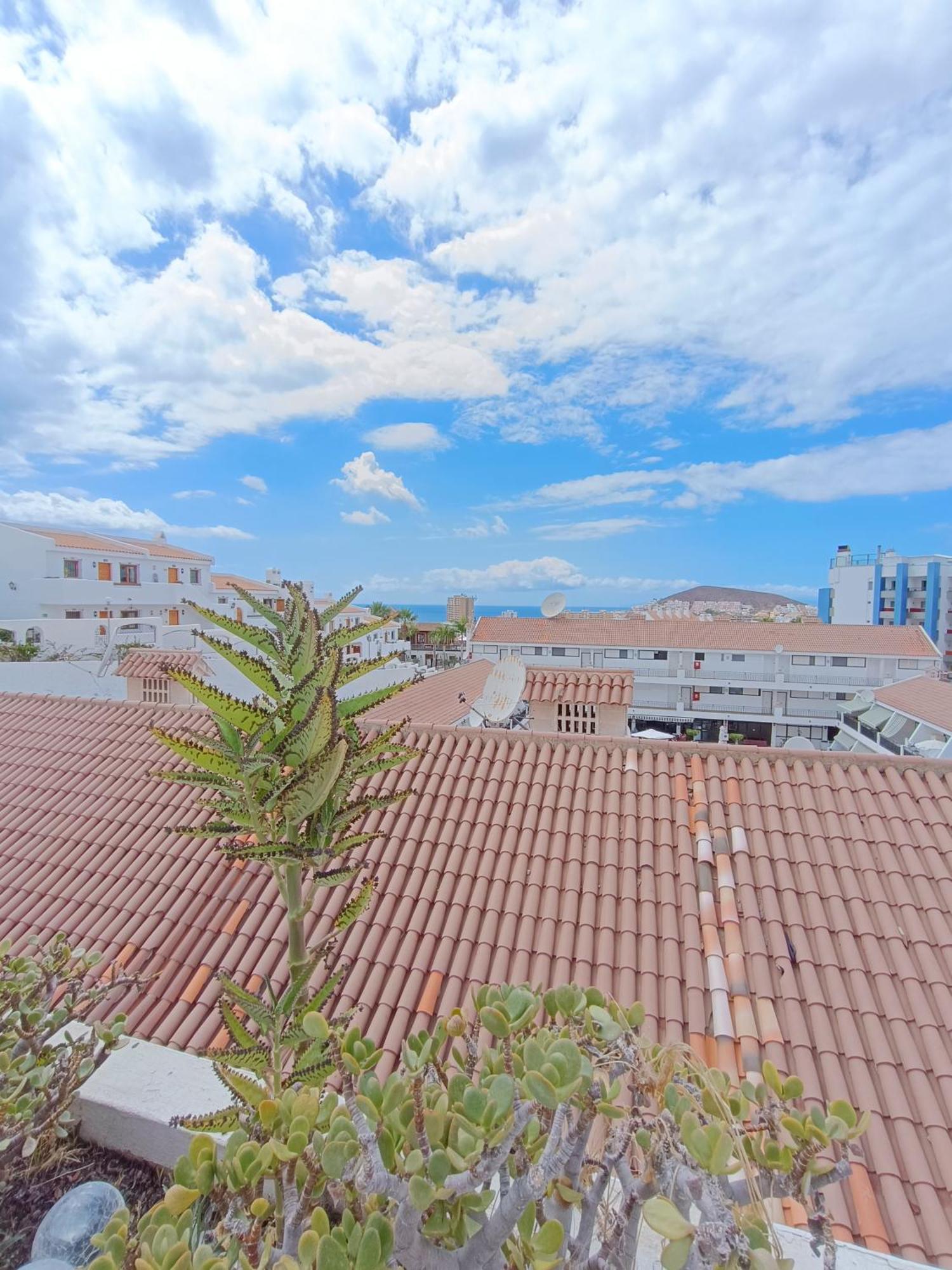 Apartment Colina